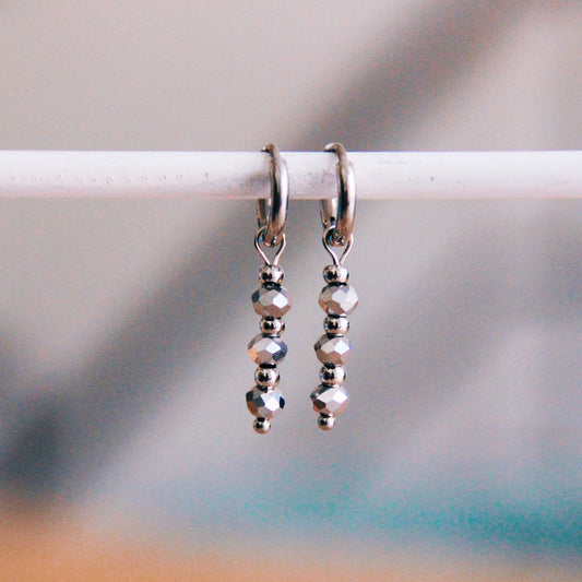 Bazou RVS creolen met facetten – zilver – CB3148